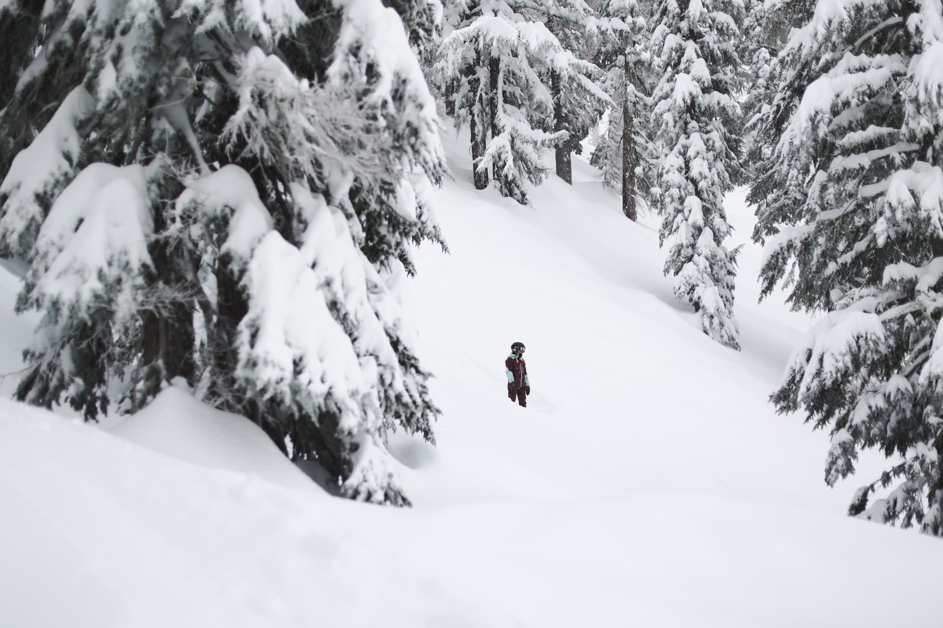 Ash standing knee-deep in fresh powder on a snowy slope between snow-laden pine trees